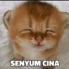 riyanmzrkunyuk