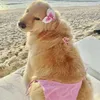 🌊Vasha_Vasiliska💗