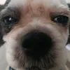 yaniyummm