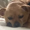 tedwardo2