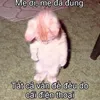 dhung1111209