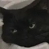 piaom_14y