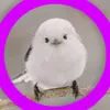 user6761873881918