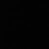 s11llly