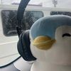 comel_3045