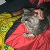 amarito0111