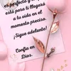 user1130463851695