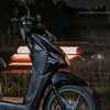 vin_28177