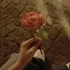 annamaria_0_18