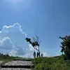 ta_chi_la_chiec_la
