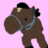 milo_the_essa_horse