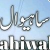 abidwatto7778