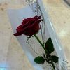 wafaa.foufita30