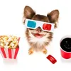maistopdocinema