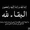roro.__116