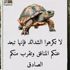 user5834873009063