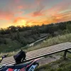 alfie_511