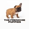 frenchie_page
