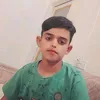 .31378929
