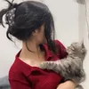 werdilla