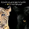 user1081034624517
