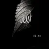 .galay.sauz