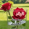 user2551258612110