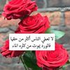 zaza32911
