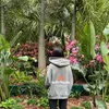 lin_sikk