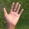 nipsy45