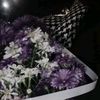 urlove_ndiss01