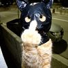 user40q0cfyk7