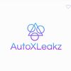 auto_leakz