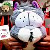 catmiu024