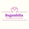 bugambilia.suculentas