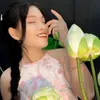 dung_h8409