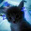 kisha079881