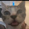 11randyf5