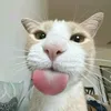 _ngdinhluong_