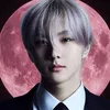 wonkachu04