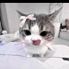nongdeuon6