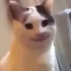 itsrenzyyy
