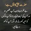 bushii447