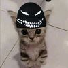 user33131799879188