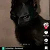 natanekbaranek0