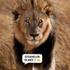 efsaneler.lmez60