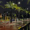 saad.gzar3