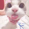sweetysafa_