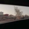 aljadaani1