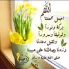 user3240618144290